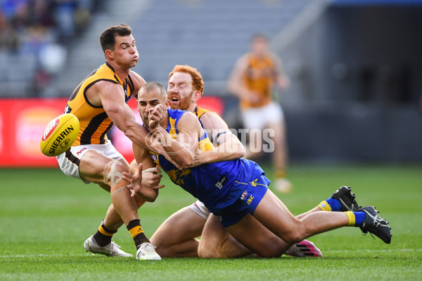 AFL 2020 Round 12 - West Coast v Hawthorn - 773949