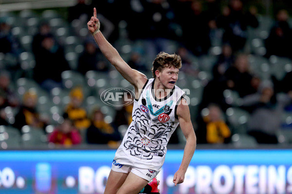 AFL 2020 Round 13 - Port Adelaide v Hawthorn - 775252