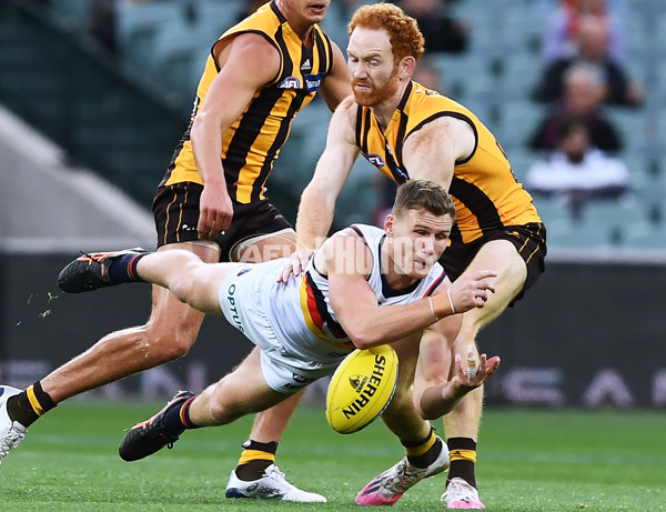 AFL 2020 Round 15 - Hawthorn v Adelaide - 778051