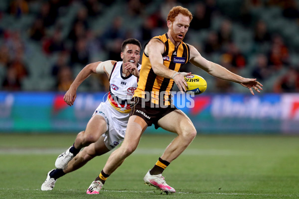 AFL 2020 Round 15 - Hawthorn v Adelaide - 778098