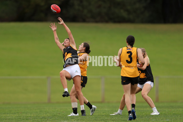 AFLW 2020 Media - U18 All-Stars Western Australia - 784674
