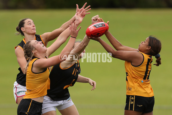 AFLW 2020 Media - U18 All-Stars Western Australia - 784690