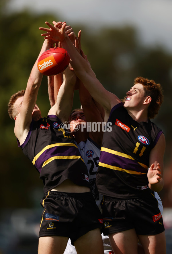 Coates Talent League Boys 2023 - Murray Bushrangers v Geelong - A-18653779