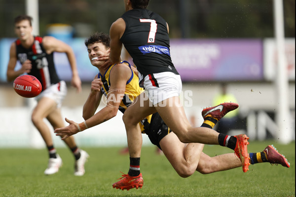 VFL 2023 Round 04 - Sandringham v Frankston - A-18665392