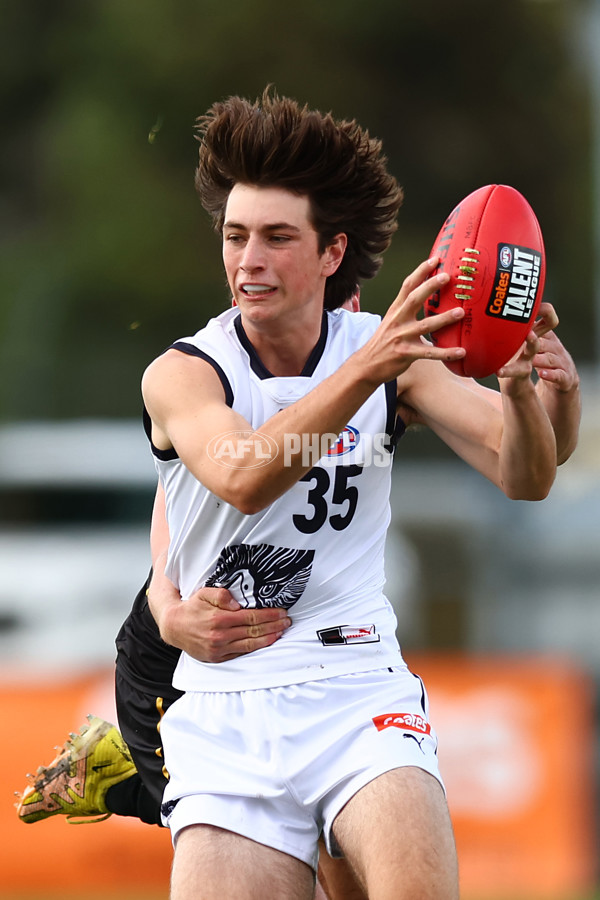 Coates Talent League Boys 2023 - Murray Bushrangers v Geelong - A-18689352