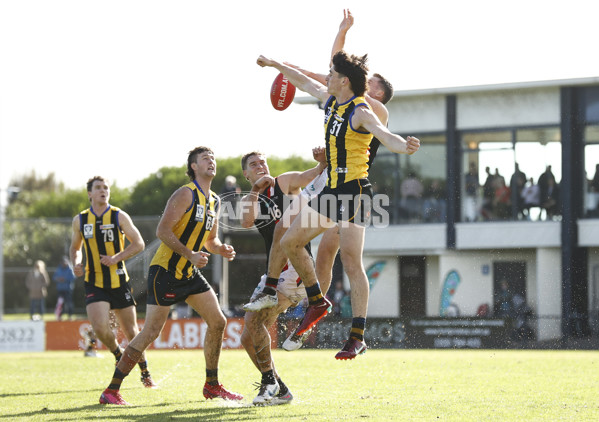 VFL 2023 Round 04 - Sandringham v Frankston - A-18690791