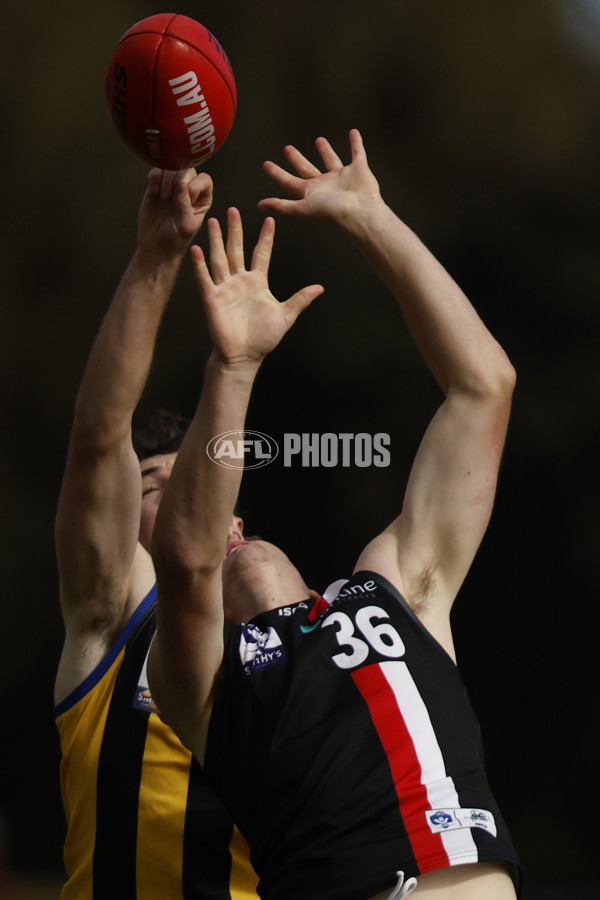 VFL 2023 Round 04 - Sandringham v Frankston - A-18692583