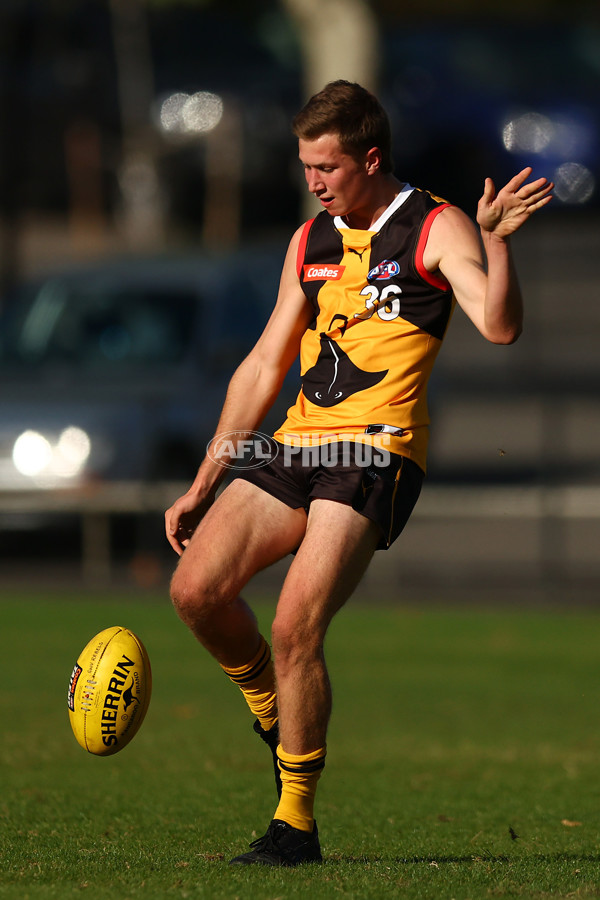 Coates Talent League Boys 2023 - Dandenong v GWV Rebels - A-18742471