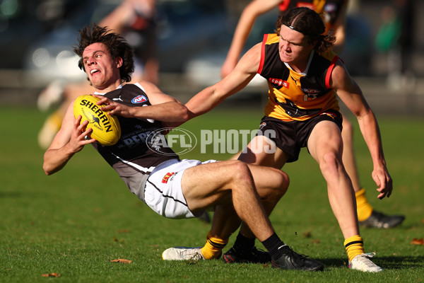 Coates Talent League Boys 2023 - Dandenong v GWV Rebels - A-18742473