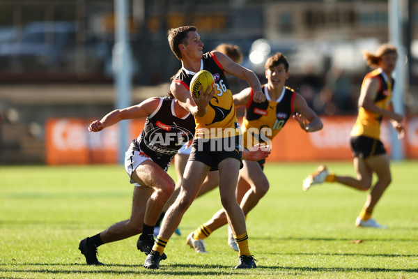 Coates Talent League Boys 2023 - Dandenong v GWV Rebels - A-18742503