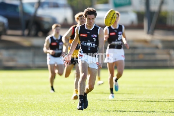 Coates Talent League Boys 2023 - Dandenong v GWV Rebels - A-18743287