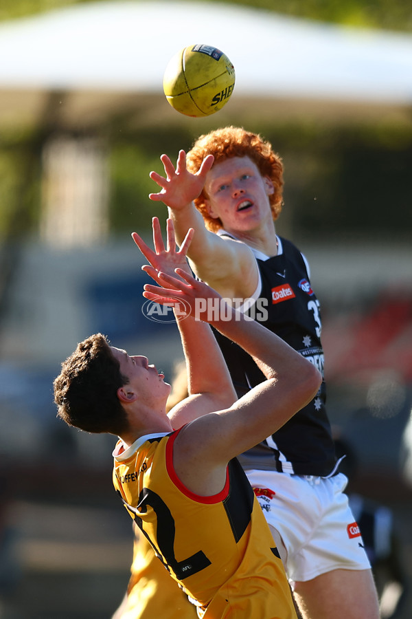 Coates Talent League Boys 2023 - Dandenong v GWV Rebels - A-18743332