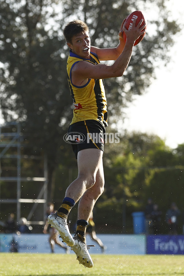 VFL 2023 Round 04 - Sandringham v Frankston - A-18786345