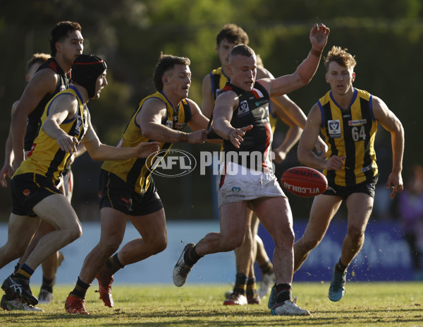 VFL 2023 Round 04 - Sandringham v Frankston - A-18786346