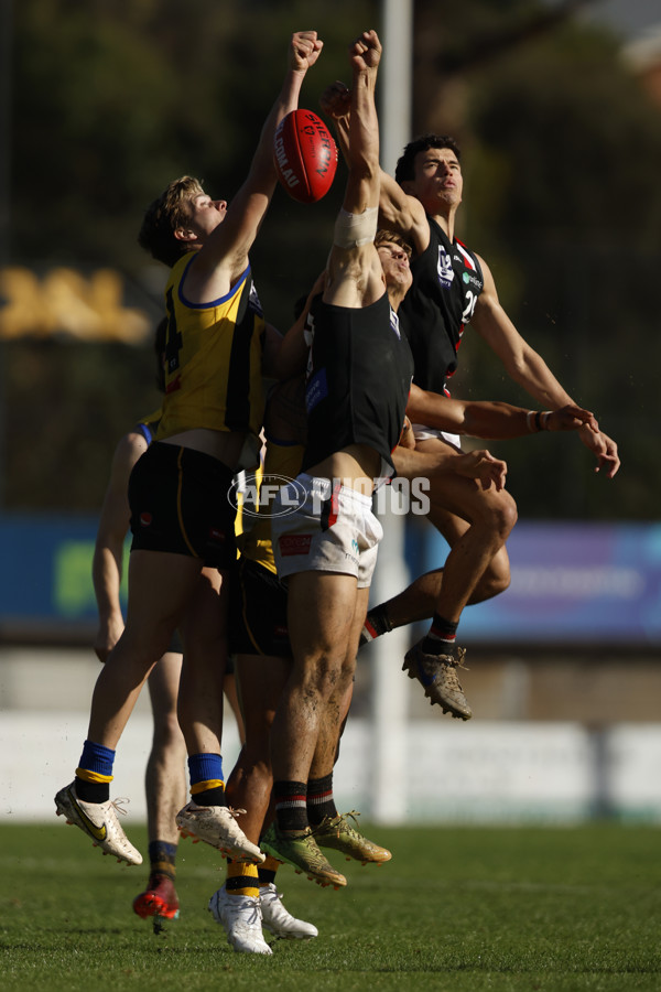 VFL 2023 Round 04 - Sandringham v Frankston - A-18786970