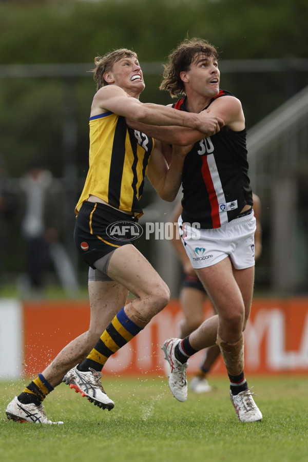 VFL 2023 Round 04 - Sandringham v Frankston - A-18789950