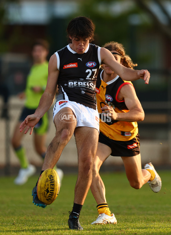 Coates Talent League Boys 2023 - Dandenong v GWV Rebels - A-18799016