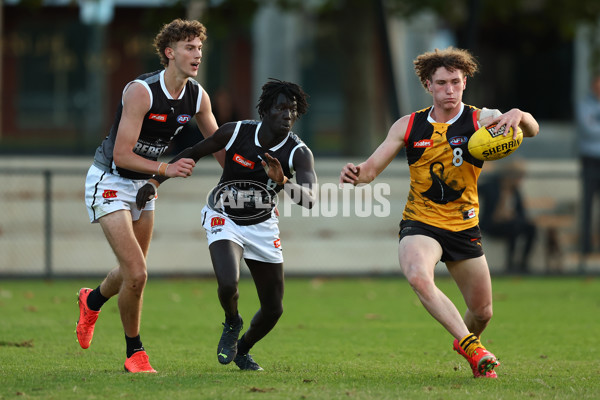 Coates Talent League Boys 2023 - Dandenong v GWV Rebels - A-18803200