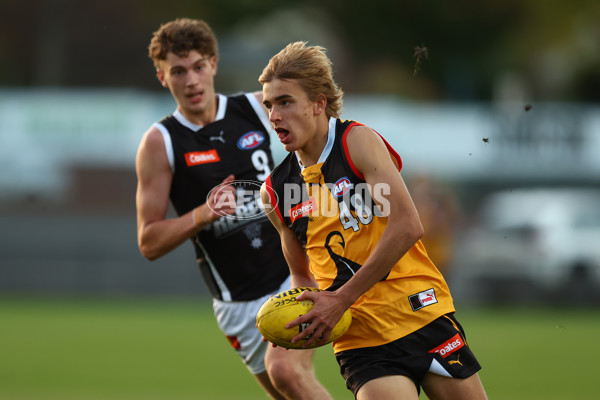 Coates Talent League Boys 2023 - Dandenong v GWV Rebels - A-18803969