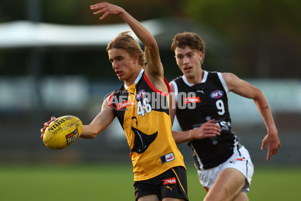 Coates Talent League Boys 2023 - Dandenong v GWV Rebels - A-18806810