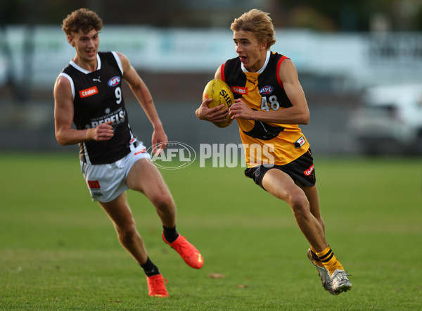 Coates Talent League Boys 2023 - Dandenong v GWV Rebels - A-18806811