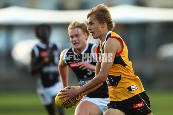 Coates Talent League Boys 2023 - Dandenong v GWV Rebels - A-18806816