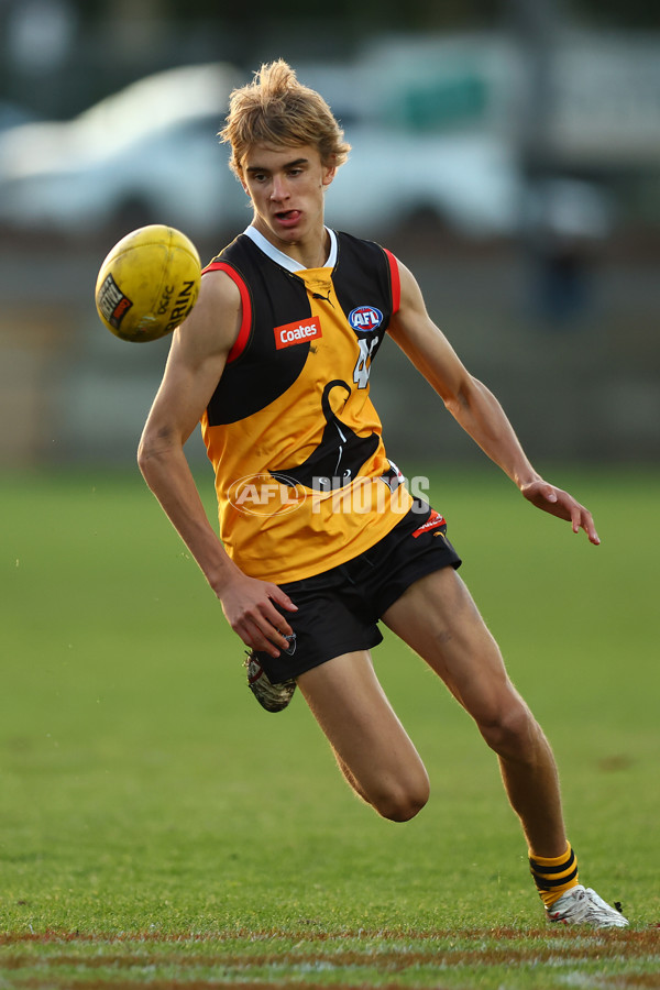 Coates Talent League Boys 2023 - Dandenong v GWV Rebels - A-18806818