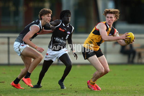 Coates Talent League Boys 2023 - Dandenong v GWV Rebels - A-18806819