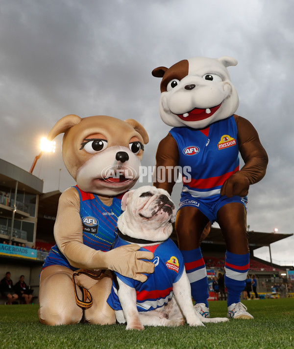 AFLW 2021 Round 02 - Western Bulldogs v Carlton - 804142