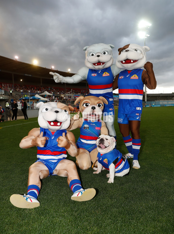 AFLW 2021 Round 02 - Western Bulldogs v Carlton - 804139