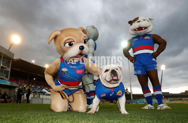 AFLW 2021 Round 02 - Western Bulldogs v Carlton - 804141