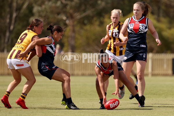 VFLW 2021 Round 02 - Darebin v Hawthorn - 813620