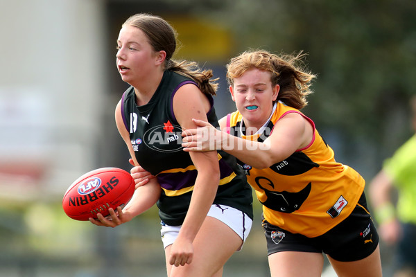 AFLW 2021 NAB League - Dandenong v Murray Bushrangers - 823293