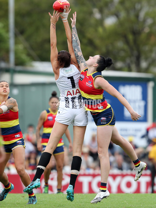 AFLW 2021 Round 09 - Adelaide v Collingwood - 823306