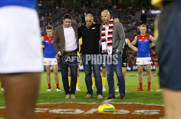 Photographers Choice - AFL 2021 Round 02 - 824569