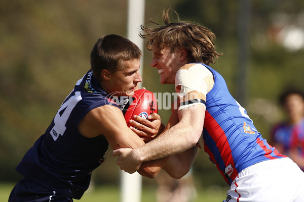 NAB League Boys 2021 - Sandringham Dragons v Oakleigh Chargers - 827909