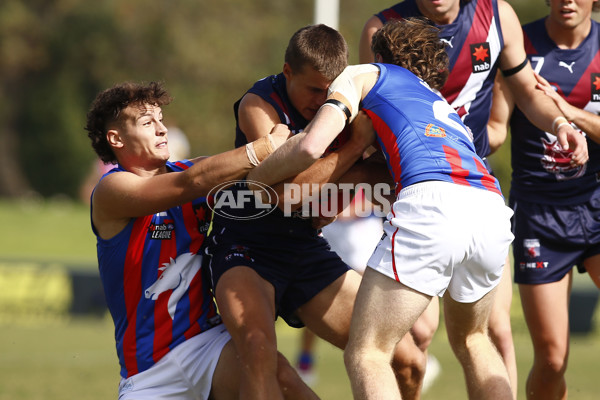 NAB League Boys 2021 - Sandringham Dragons v Oakleigh Chargers - 827912