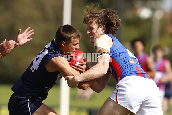 NAB League Boys 2021 - Sandringham Dragons v Oakleigh Chargers - 827910