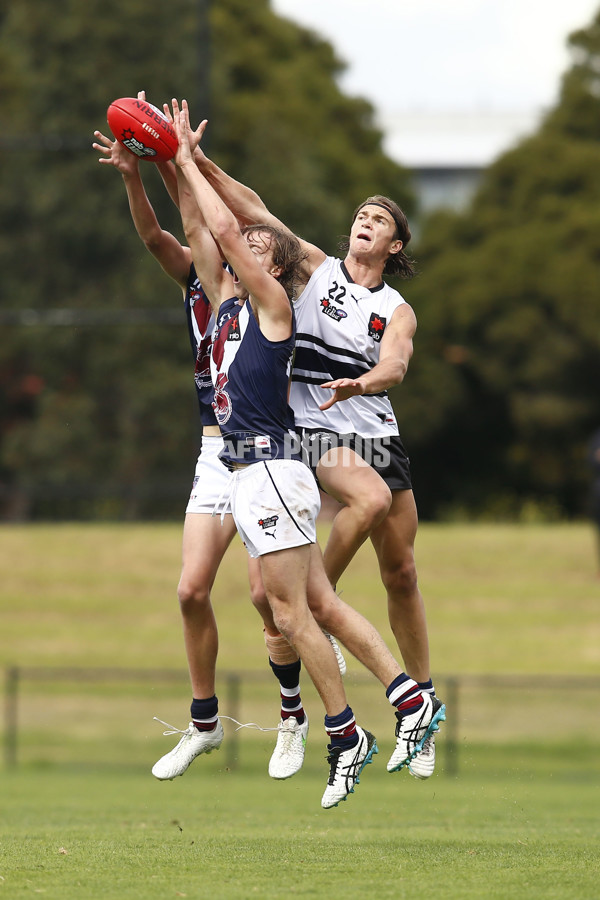 NAB League Boys 2021 - Northern Knights v Sandringham Dragons - 829307