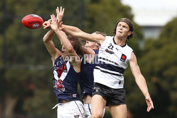 NAB League Boys 2021 - Northern Knights v Sandringham Dragons - 829310