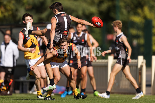 NAB League Boys 2021 - GWV Rebels v Dandenong Stingrays - 830800