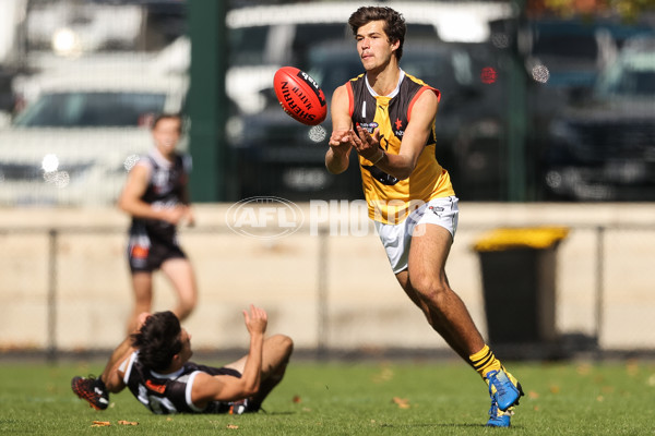 NAB League Boys 2021 - GWV Rebels v Dandenong Stingrays - 830793