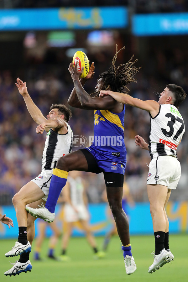 AFL 2021 Round 05 - West Coast v Collingwood - 833486