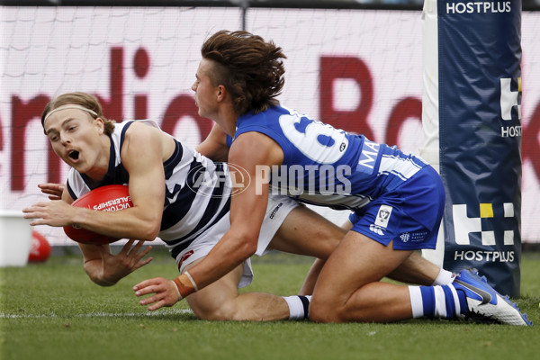 VFL 2021 Round 01 - Geelong v North Melbourne - 835460