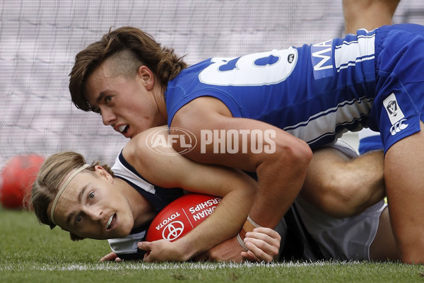 VFL 2021 Round 01 - Geelong v North Melbourne - 835459