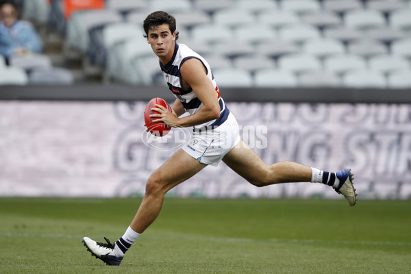 VFL 2021 Round 01 - Geelong v North Melbourne - 835379