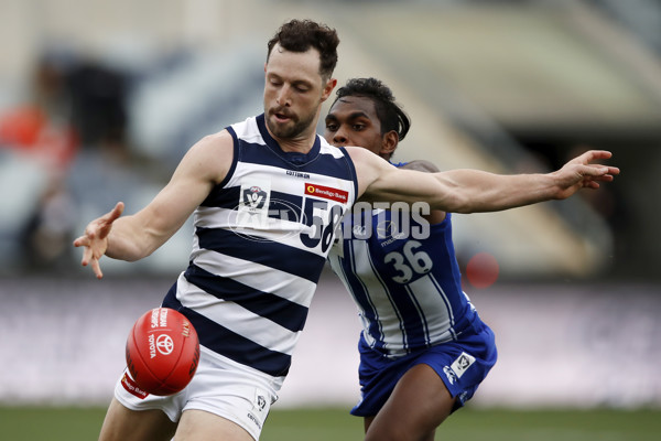 VFL 2021 Round 01 - Geelong v North Melbourne - 835510