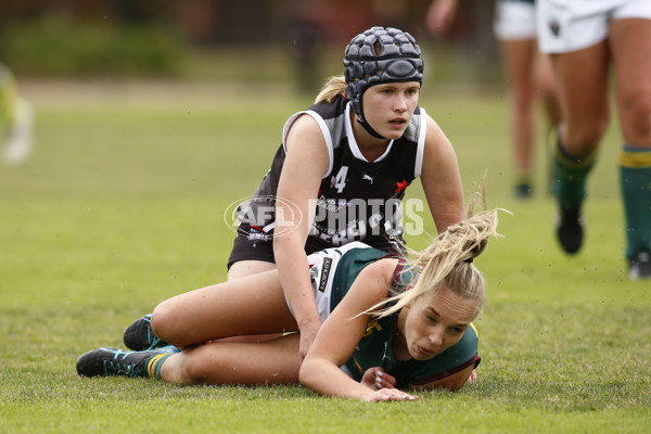 NAB League Girls 2021 - GWV Rebels v Tasmania - 837582