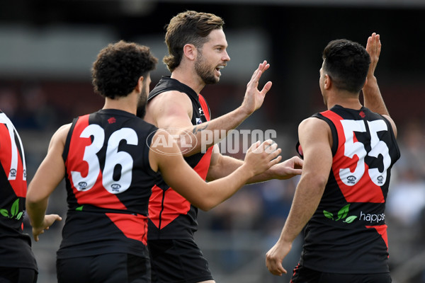 VFL 2021 Round 03 - Essendon v Carlton - 841826