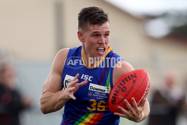 VFL 2021 Round 04 - Williamstown v Frankston - 843949